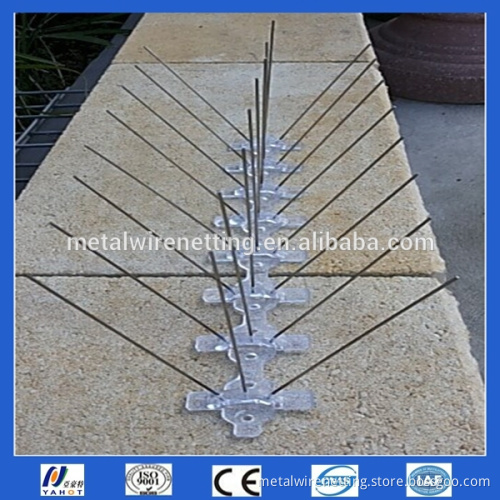 Best Price Bird Control Anti Bird Spikes